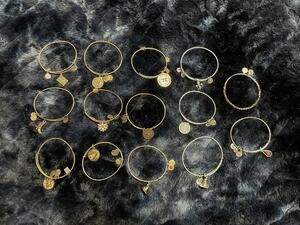 Alex and Ani Bangle Bracelet Lot of 14 Charm Expandable Gold Silver Tone Stack
